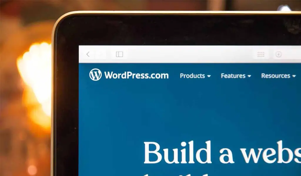 Most modern WordPress blogs and websites use some kind of display ads to monetize their traffic - we do too!