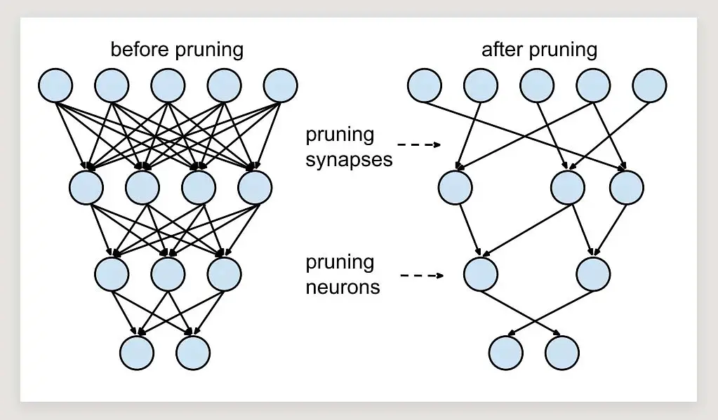 A simplified model of a neural network before and after the pruning process.