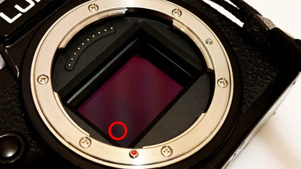 A larger speck of dust on a mirrorless camera's sensor.