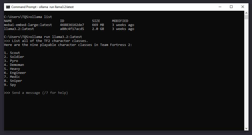 The Ollama CLI with a model loaded in.